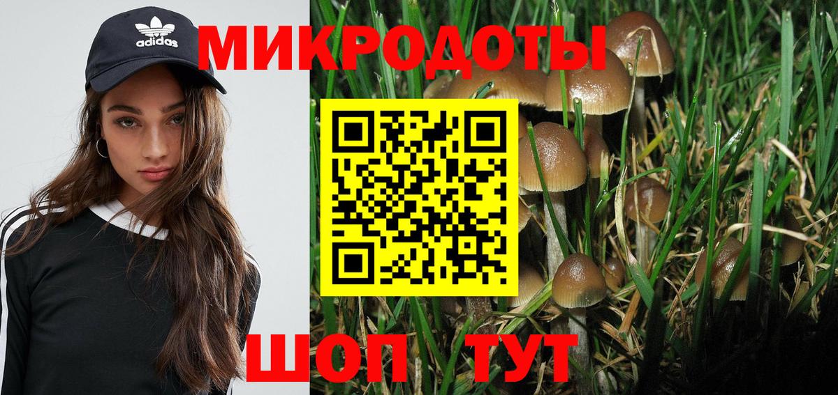 Воткинск  Псилоцибиновые грибы Psilocybine cubensis  Вход с VPN 