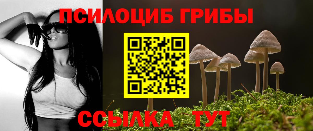 Псилоцибиновые грибы Psilocybe Воткинск